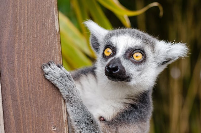 Exotic places to Visit Madagascar