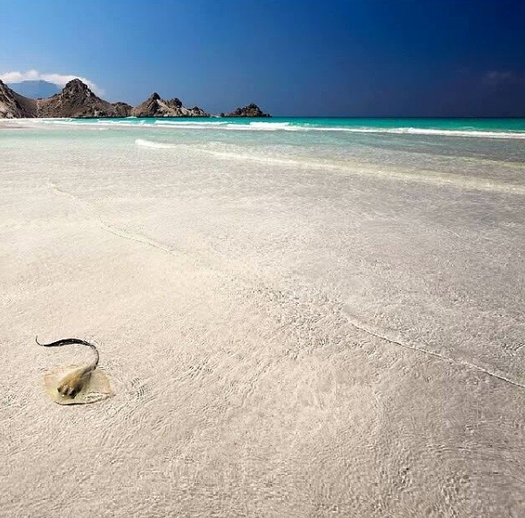 Socotra Island - Exotic Place to visit