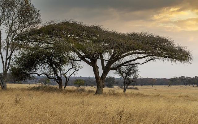 What to see in Matobo National Park