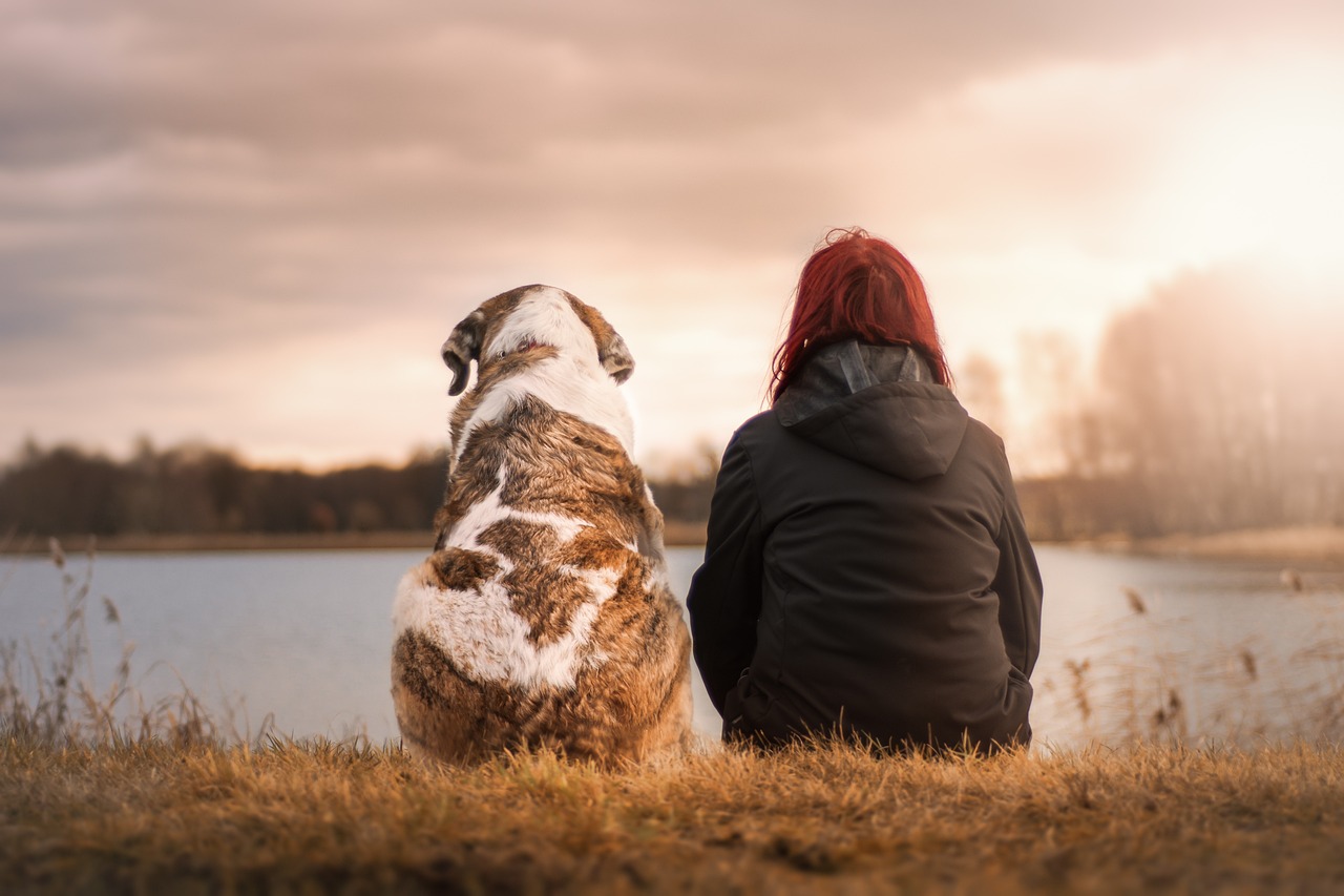 Your Guide to a Carefree Dog-Friendly Holiday