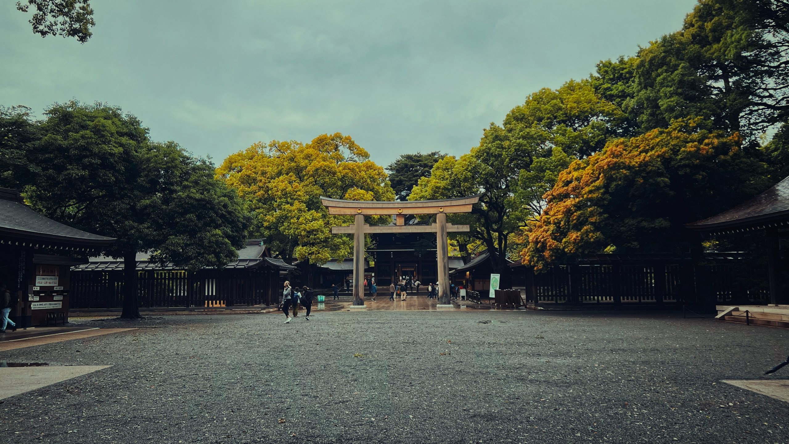 Things to do in Tokyo, visit Meiji Shrine and Yoyogi Park