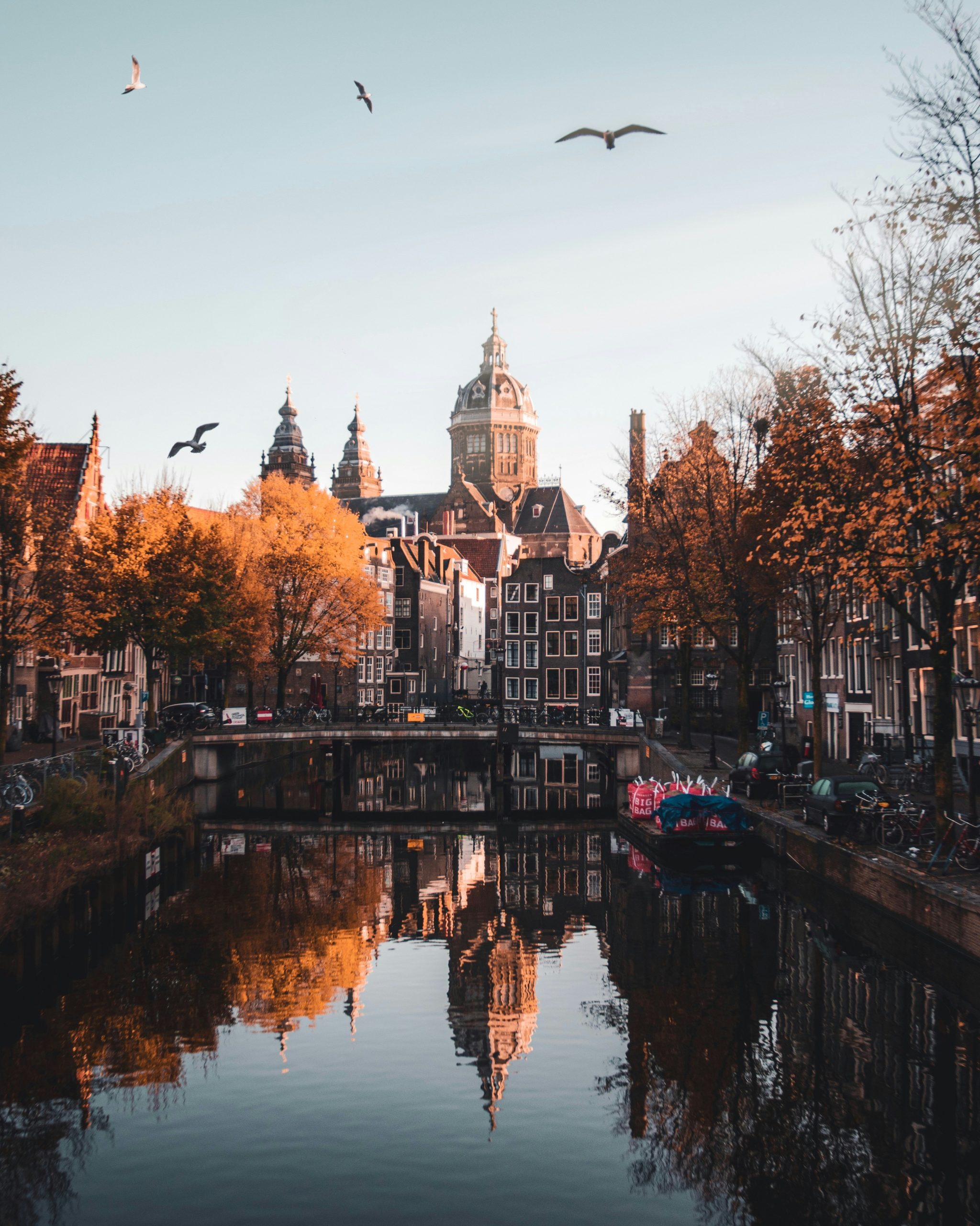 tips when visiting Amsterdam in January