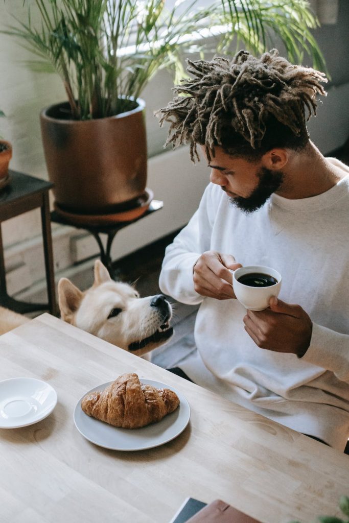 Choose Dog-Friendly Accommodations when on a Holiday