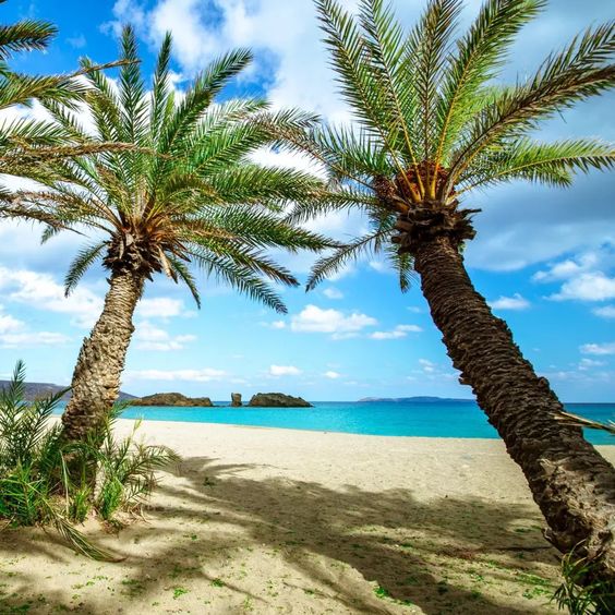 Vai Palm Beach - top things to do in Greece
